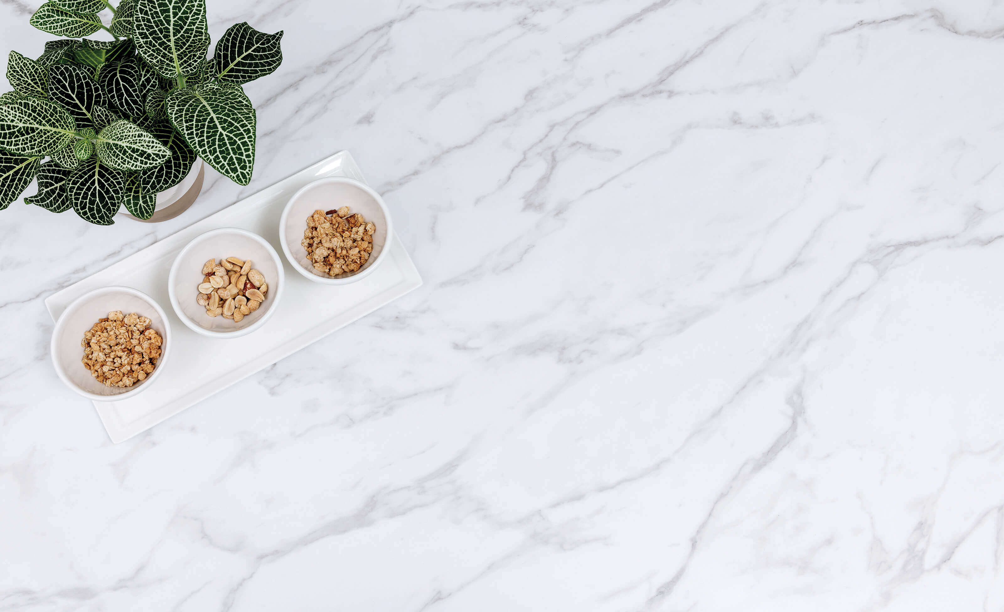 Anzio Marble Countertop Swatch