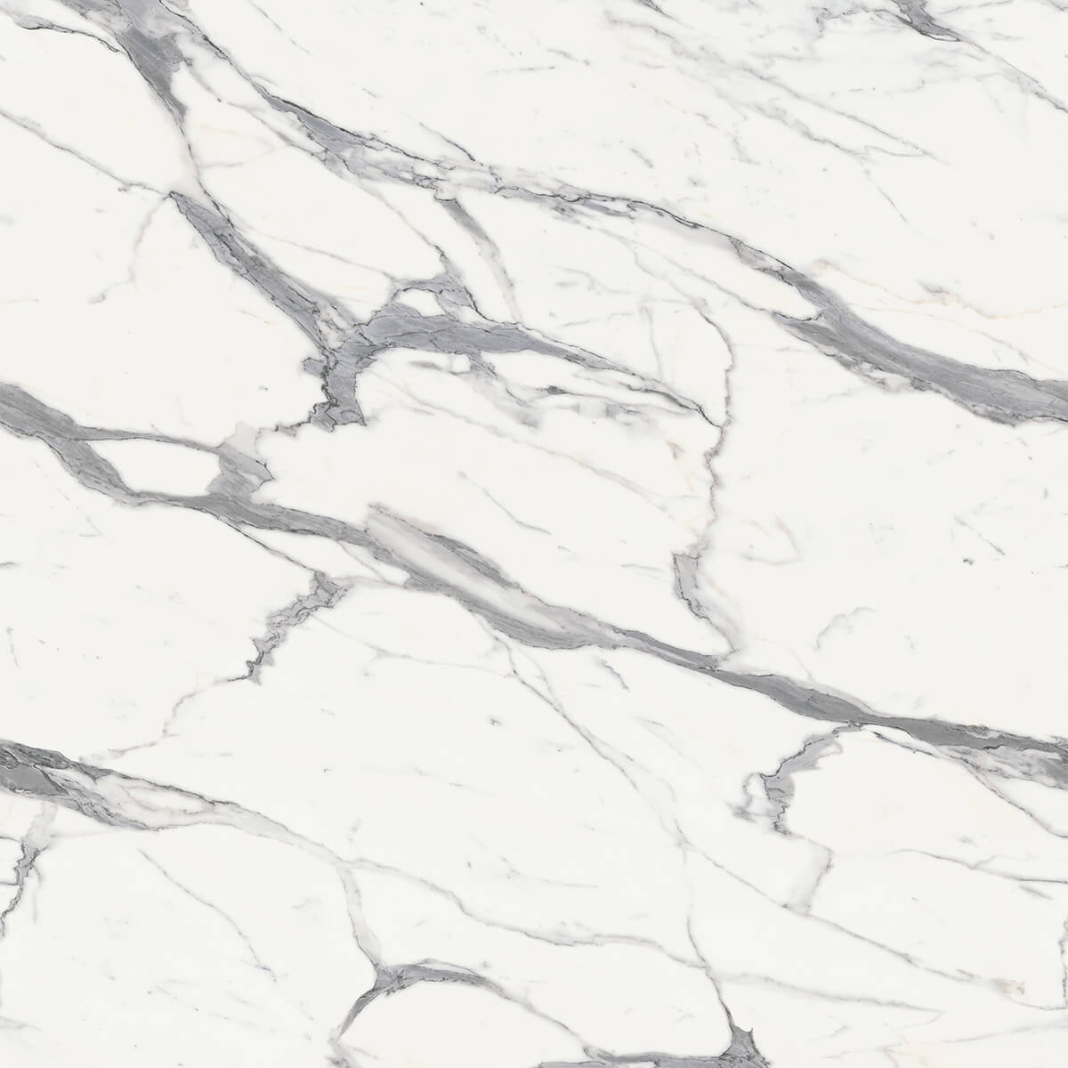 Bianco Statuario Countertop Swatch