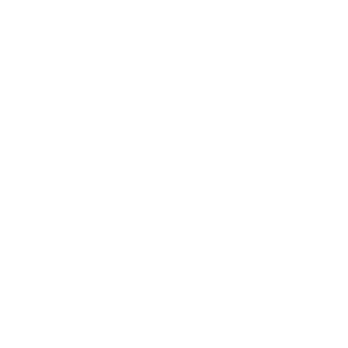 Shopping Cart Icon