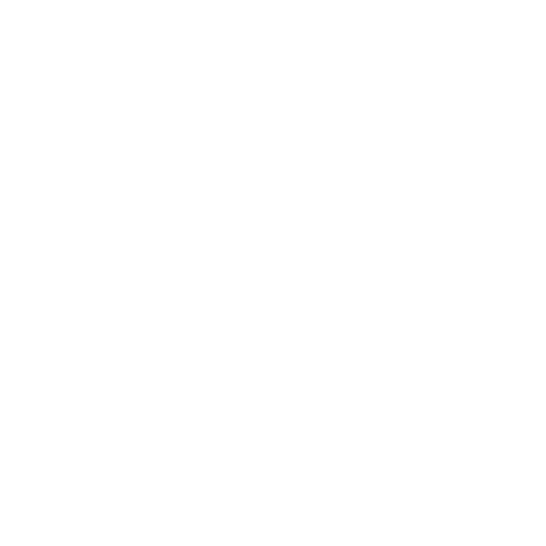 Location Pin Icon