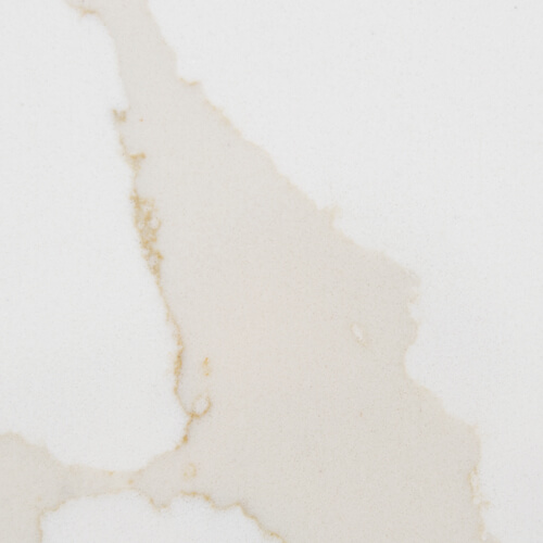 Calacatta Ouro Countertop Swatch